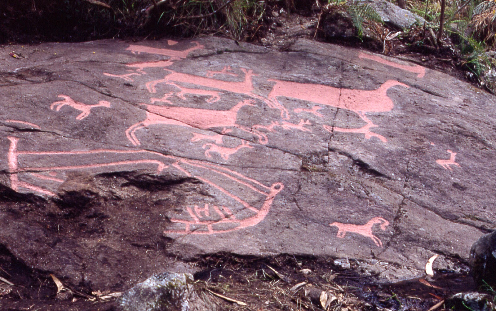 Barco y ciervos del petroglifo de Auga dos Cebros