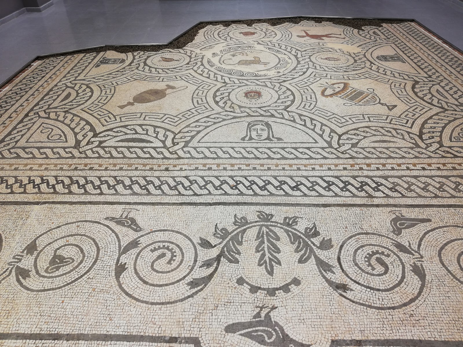 Mosaico romano del siglo III hallado en Ciavieja expuesto en el auditorio de El Ejido. Fuente: patrimonioalmeriensepuebloapueblo.blogspot.com