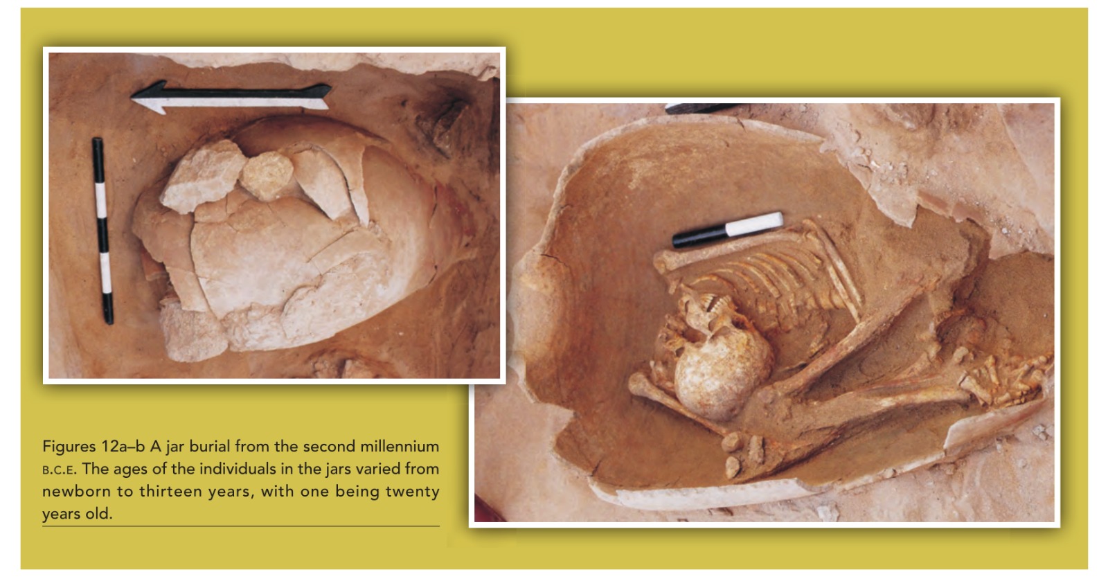 Inhumación en vasija (pithos) en Sidón, Líbano, II milenio a.C., la mayoría niños menores de 13 años