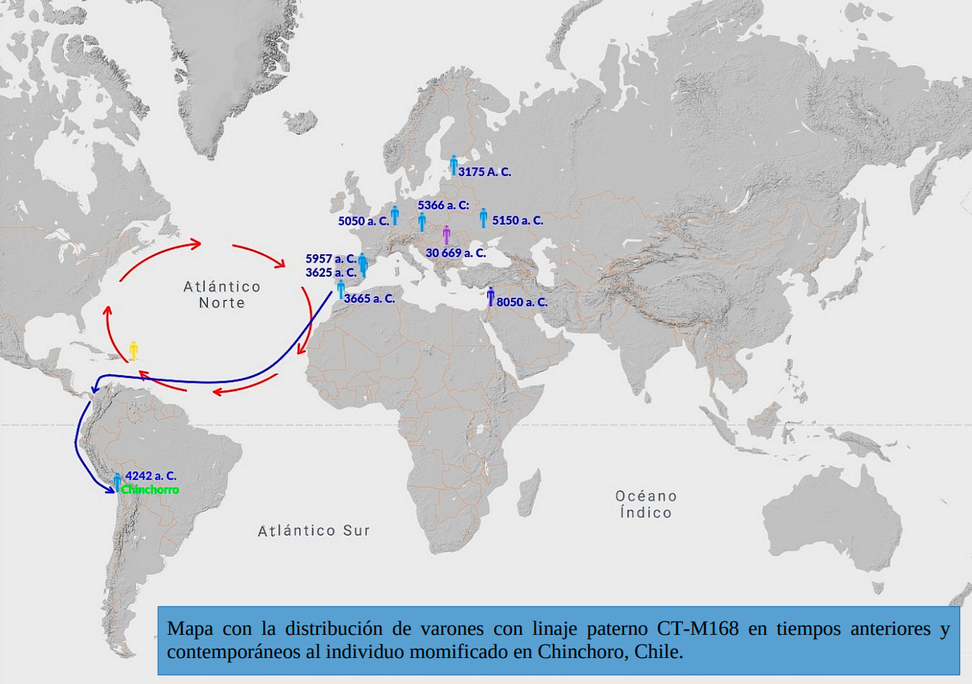 Mapa 1. Las flechas rojas señalan el sentido circular de las las principales ‘Corrientes del Golfo’, las cuales permiten el arribo a las costas noroccidentales de América del Sur. Las flechas azules señalan la ruta más verosímil seguida por el linaje paterno CT-M168 de Chinchorro, Chile. De acuerdo a las dataciones de CT-M168 de Iberia y a las mismas ‘Corrientes de Golfo’, el mejor punto de partida parece haber estado entre el SurSudoeste de Iberia. Una ruta desde las costas del Mar del Norte, aunque igualmente probable, no parece la mejor hipótesis. - Fuente: Georgeos Díaz-Montexano / atlantidahistorica.com