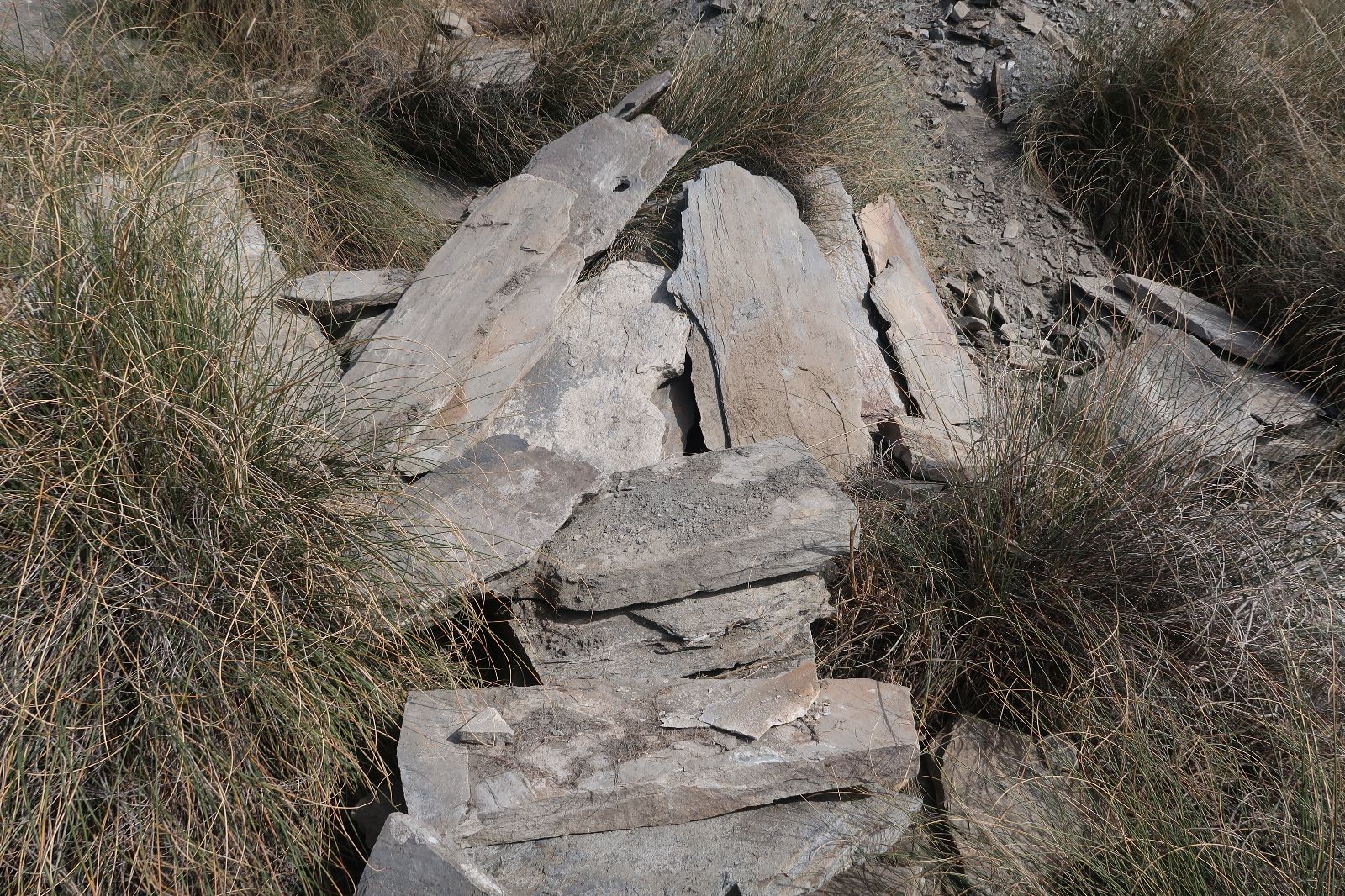 Sepultura 1. Ortostatos caidos y separados del túmulo a la espera de su estudio