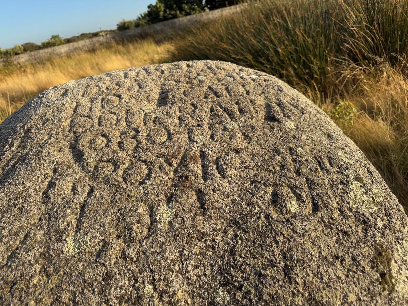 Piedra escrita de Arroyomolinos. Fotografía de Juan Antonio Castañera Lobo Piedra escrita de Arroyomolinos. Fotografía de Juan Antonio Castañera Lobo