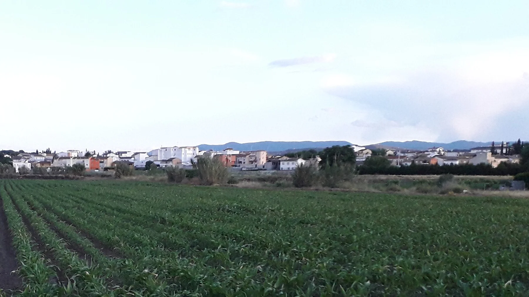 Paisaje actual de Las Gabias, Granada