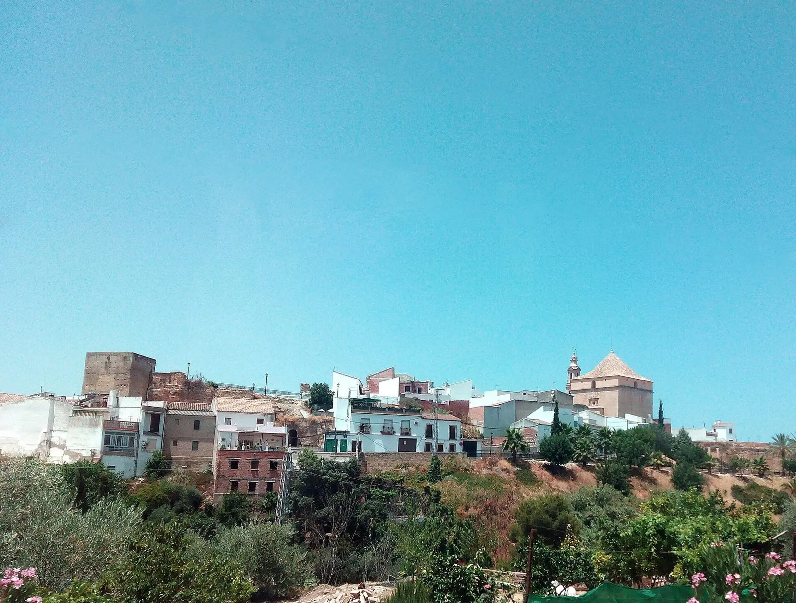 Vista general de la localidad cordobesa de Santaella