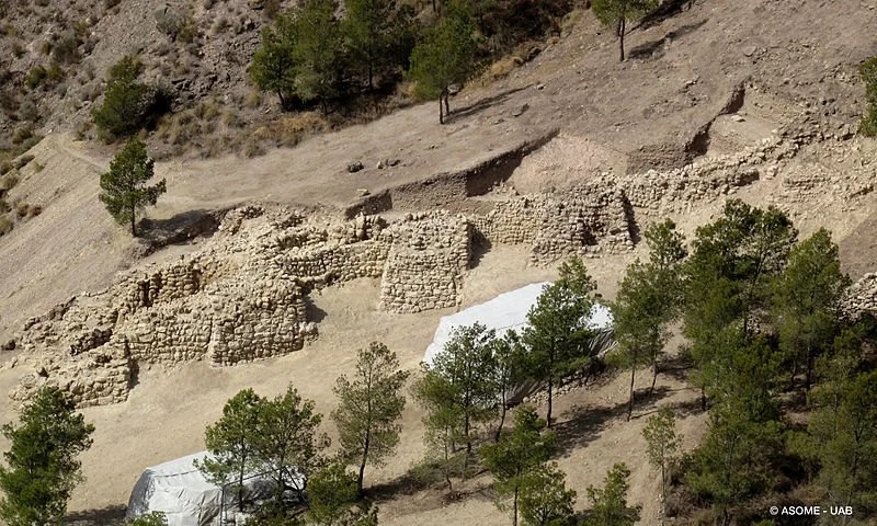 Muralla de La Bastida
