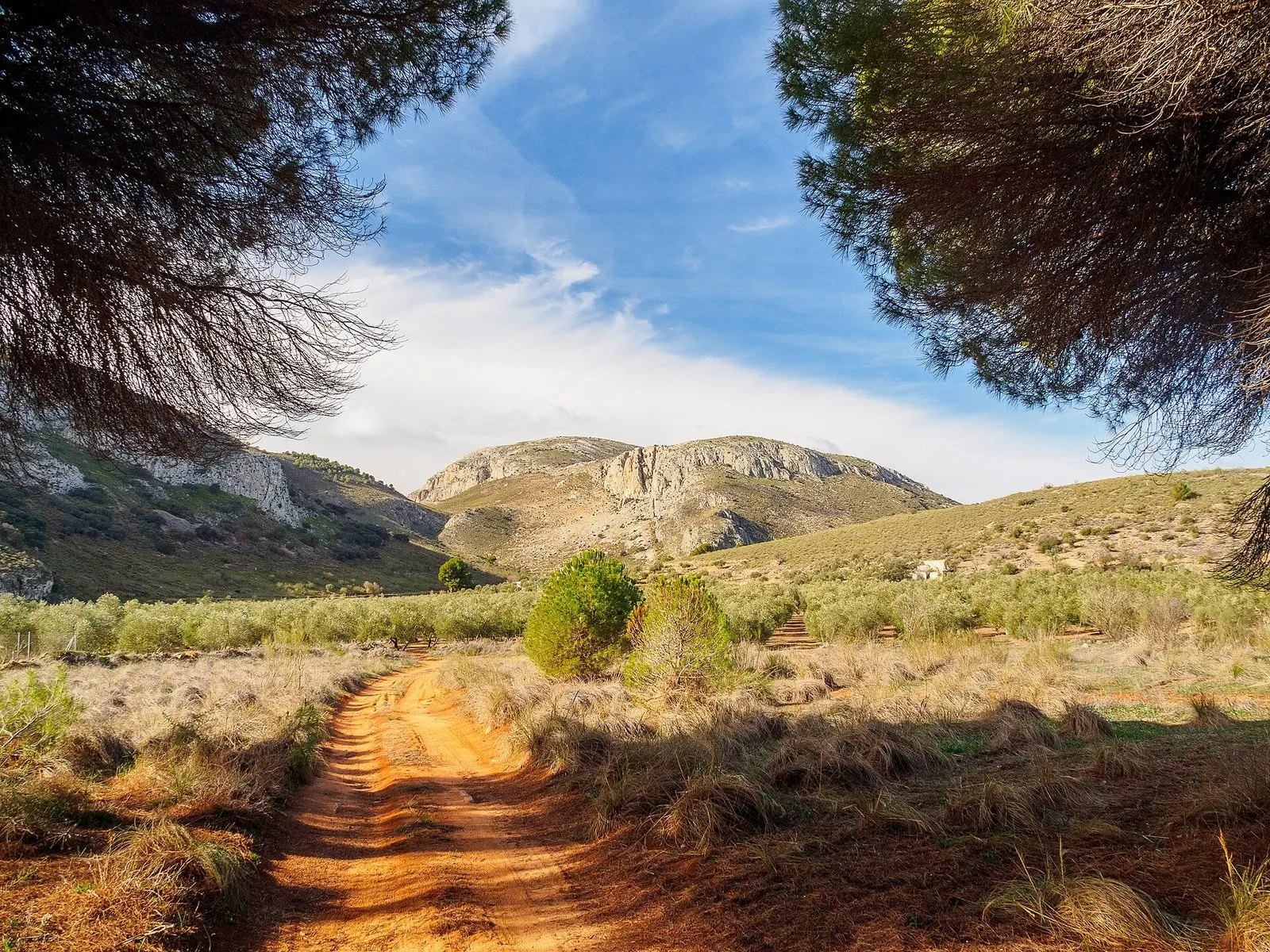 Sierra y olivar del entorno de Teba, Málaga