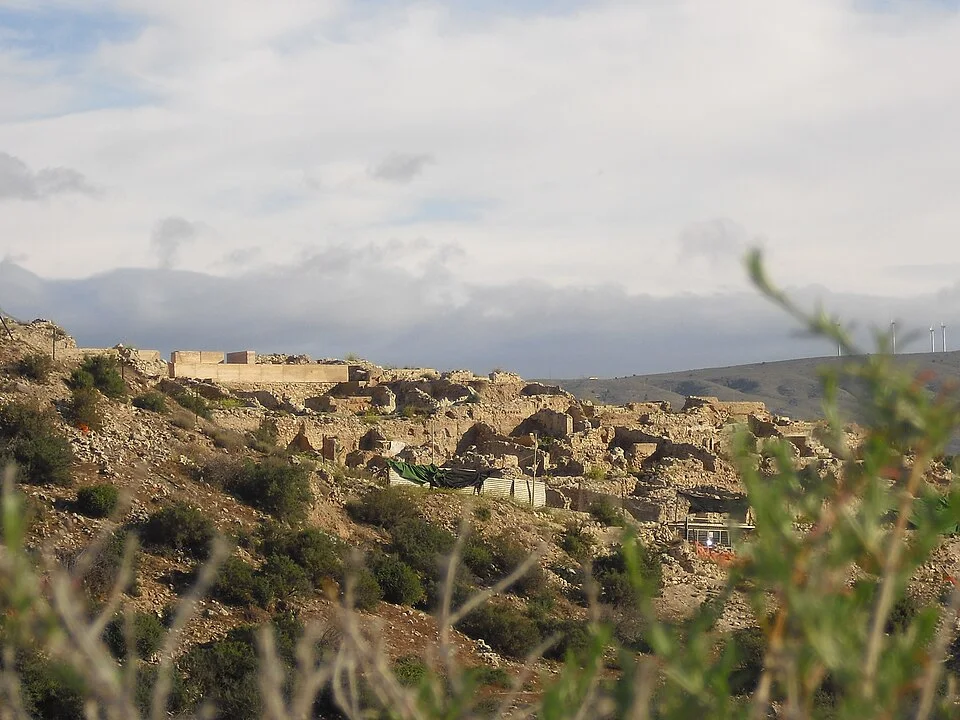 Vista del yacimiento de Siyâsa en 2013.
