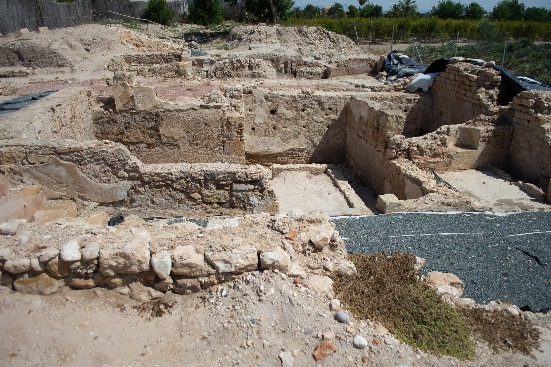 Termas orientales de La Alcudia, Elche