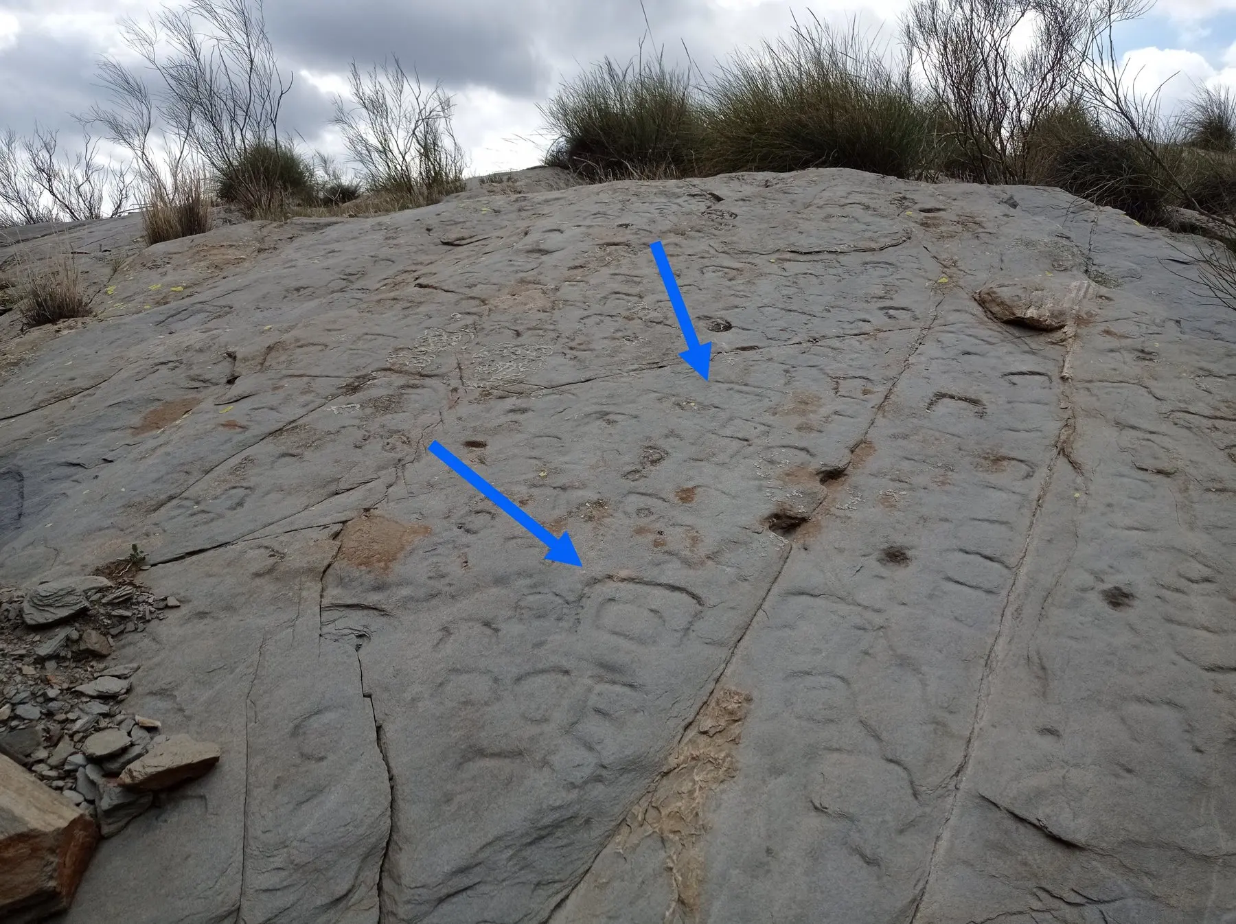 Piedra Escrita de Velefique con signos líbicos de tipo D+R (R dentro de D) marcados