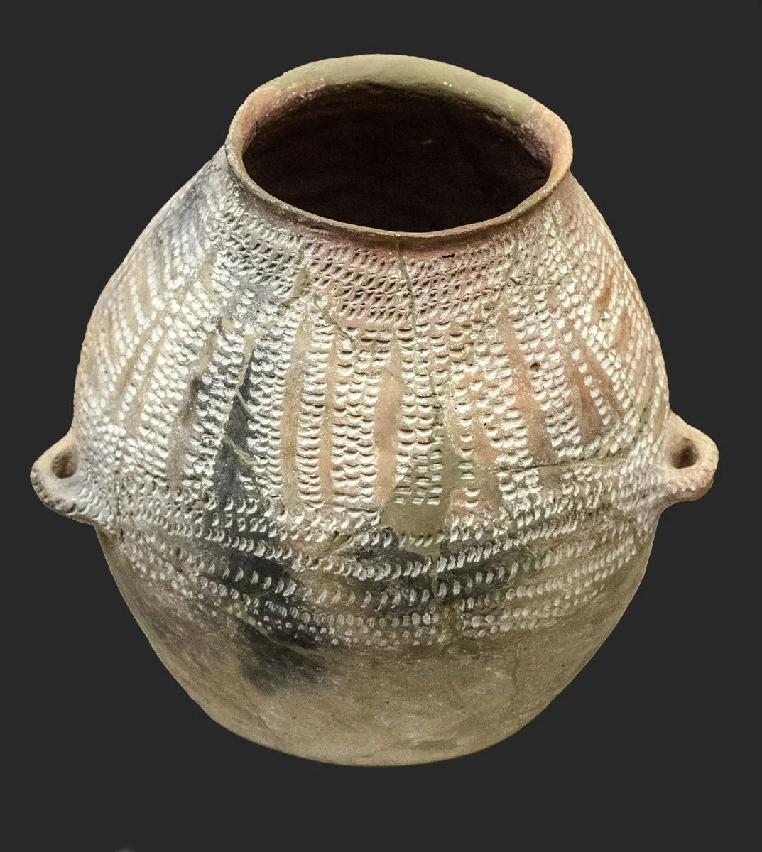 Jarra neolítica con decoración impresa procedente de la Cova de l’Or