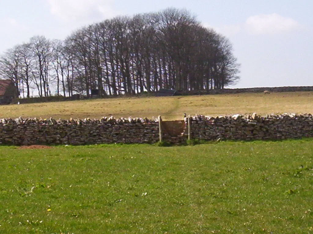 Paisaje de las colinas Mendip cerca de Priddy, Somerset