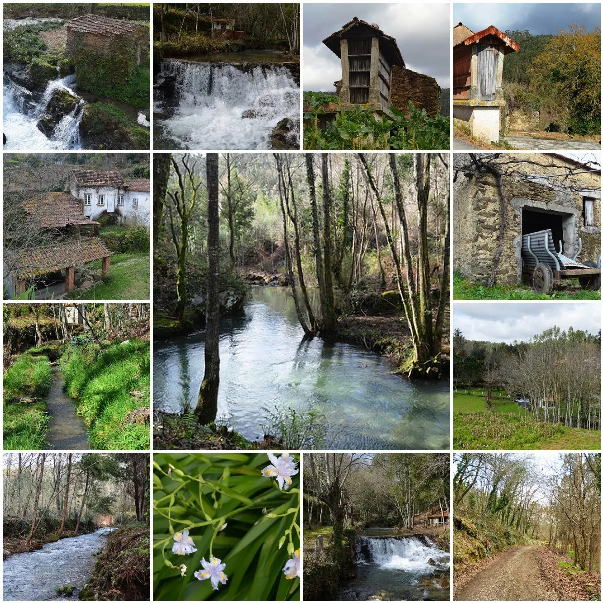 Montaje de paisajes y construcciones del Trilho do Linho, Albergaria-a-Velha