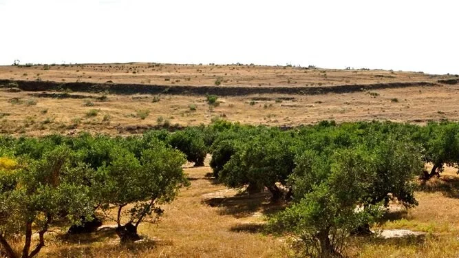 Panorámica de la muralla de Villavieja - A.M., GranadaHoy