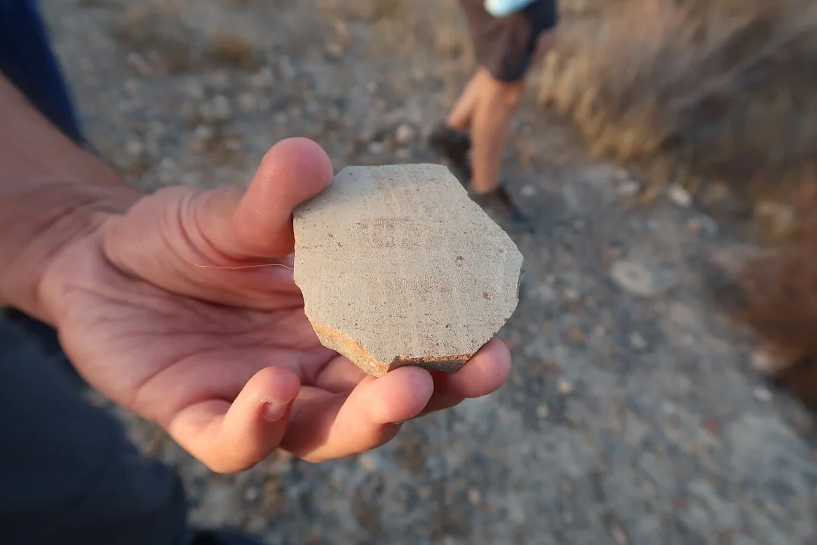 Pedazo de cerámica íbera con decoración de tipo acuática. Cerro de las Agüicas