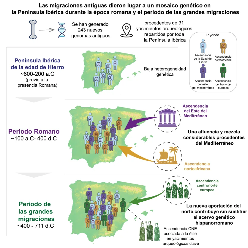 Resumen gráfico del estudio sobre las migraciones y la composición genética de la península ibérica entre la Edad del Hierro y la Alta Edad Media.