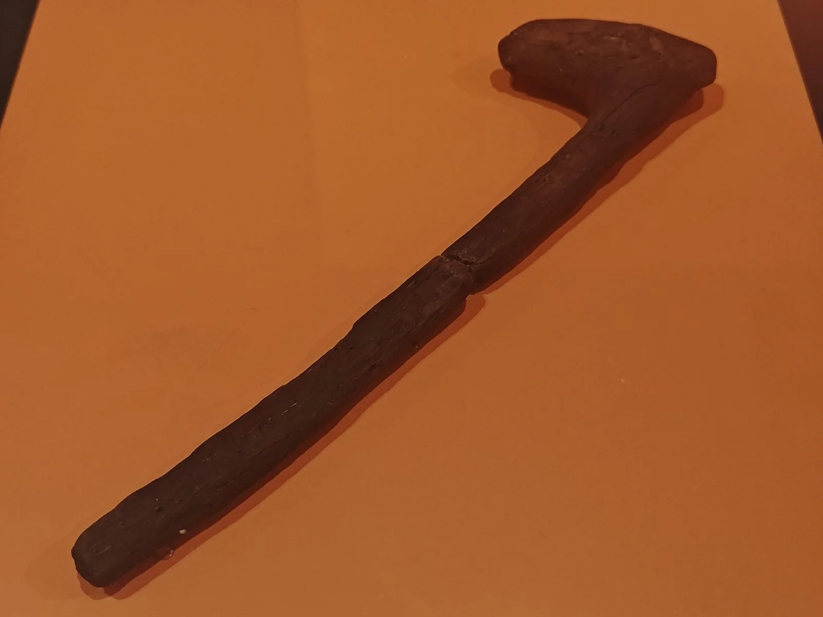 Mango de azuela de roble procedente de La Draga, conservado en el museo