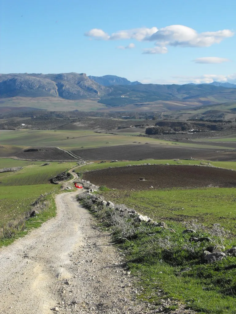 Campos del entorno de Cañete la Real