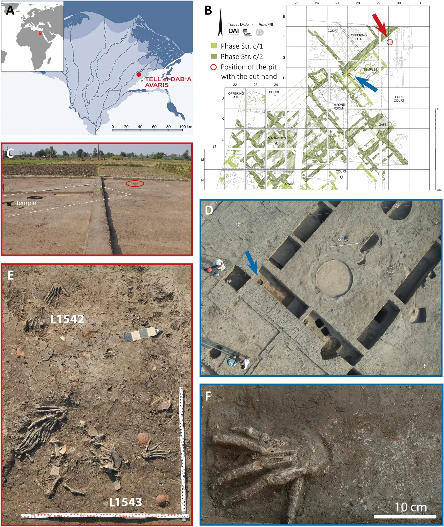 Figura científica con mapa de Avaris, plano del palacio y fotografías arqueológicas de las fosas con restos de manos
