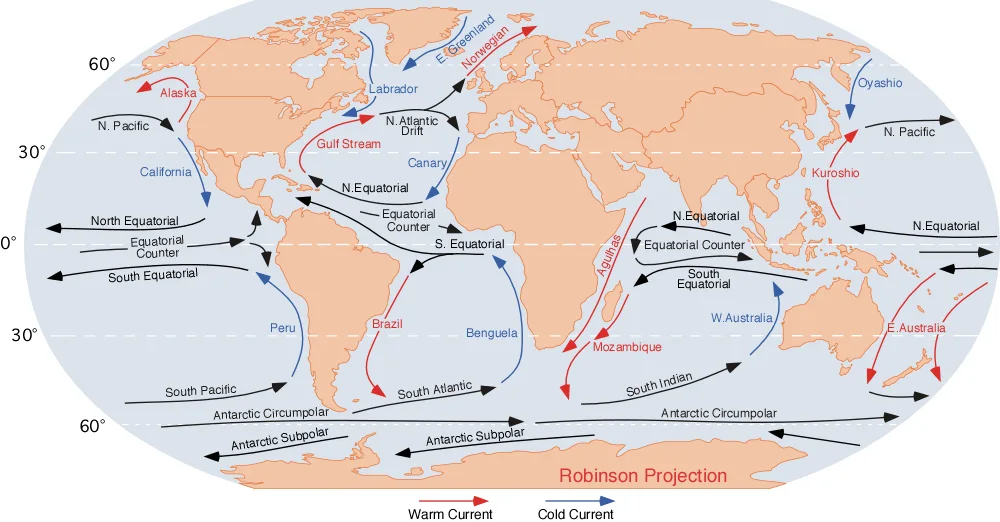 Corrientes oceánicas mundiales, entre las que se encuentra la corriente de las Islas Canarias - Dr. Michael Pidwirny