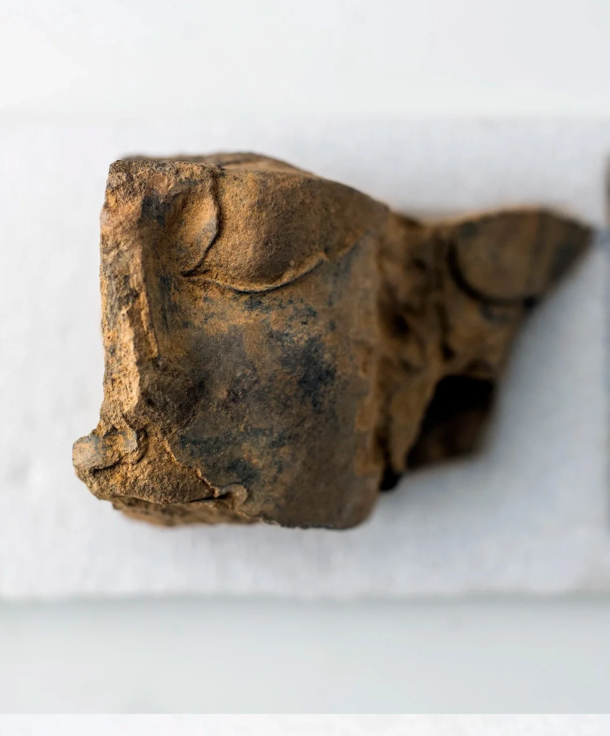 Escultura con parte de un rostro. Casas del Turuñuelo - Fuente: construyendotarteso.com