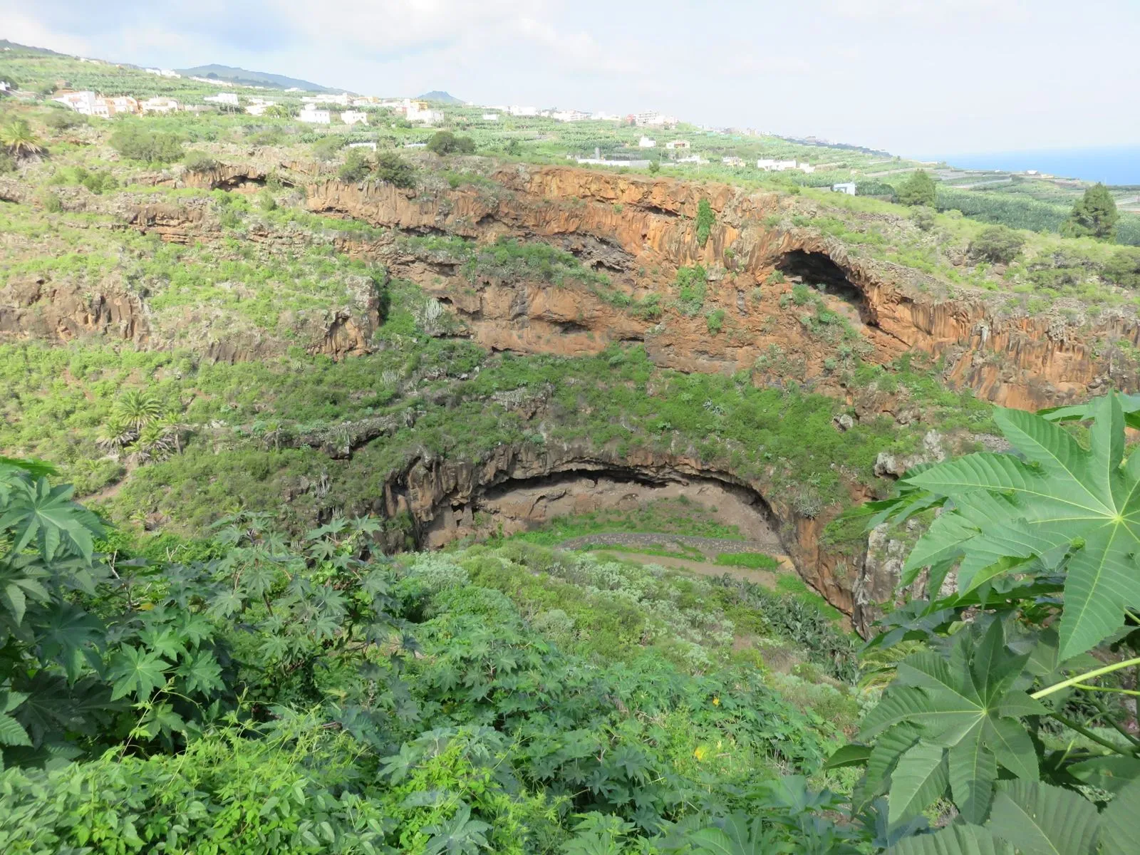 Cueva del Tendal en San Andrés y Sauces, La Palma