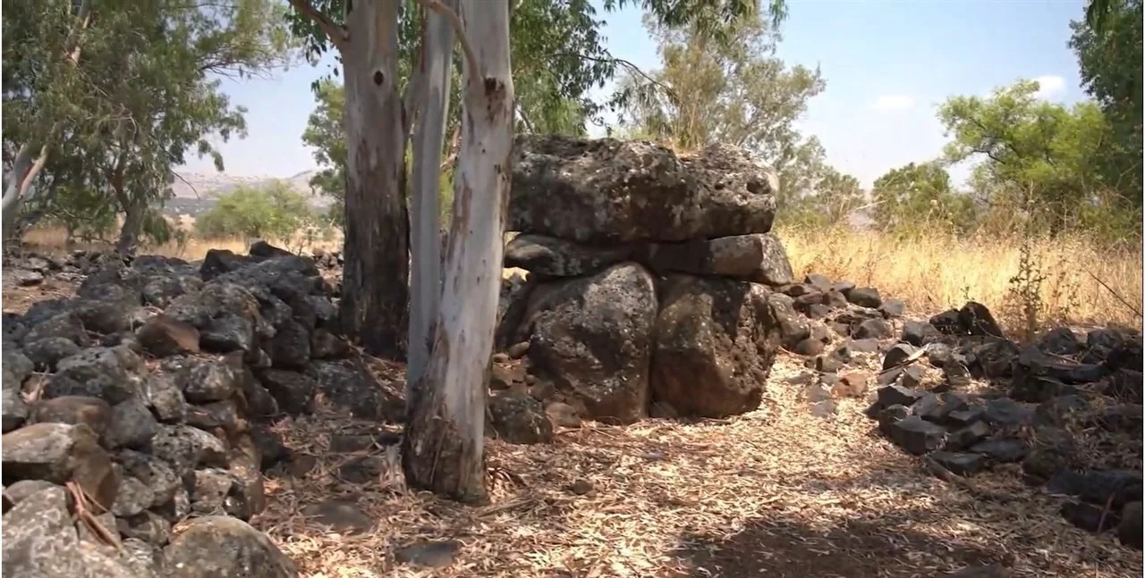 Dolmen del parque natural de Yehudiya, Israel. Fuente: National Geographic / Centro de Antigüedades de Israel