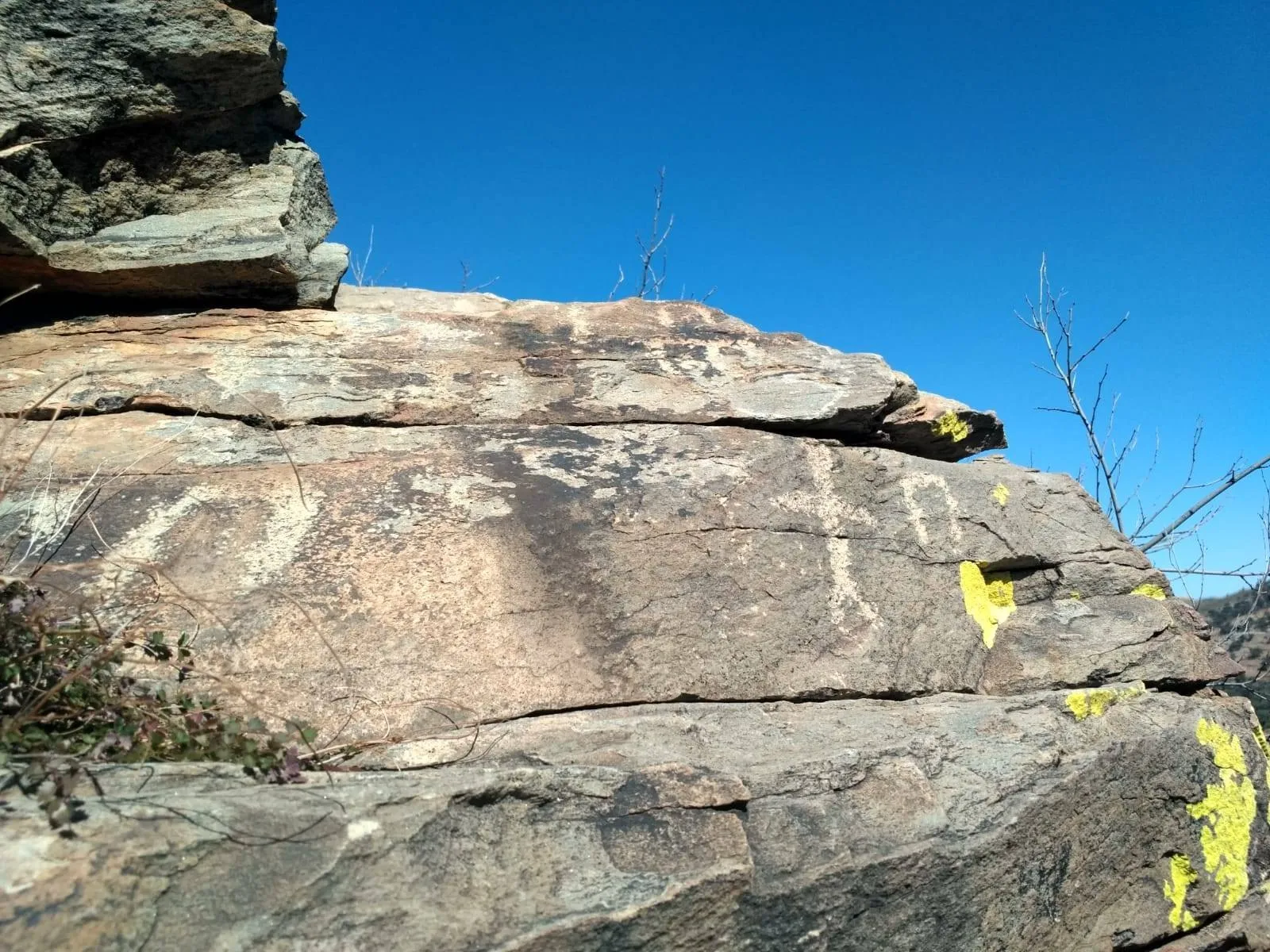 Panel 6 de Piedra Labrá
