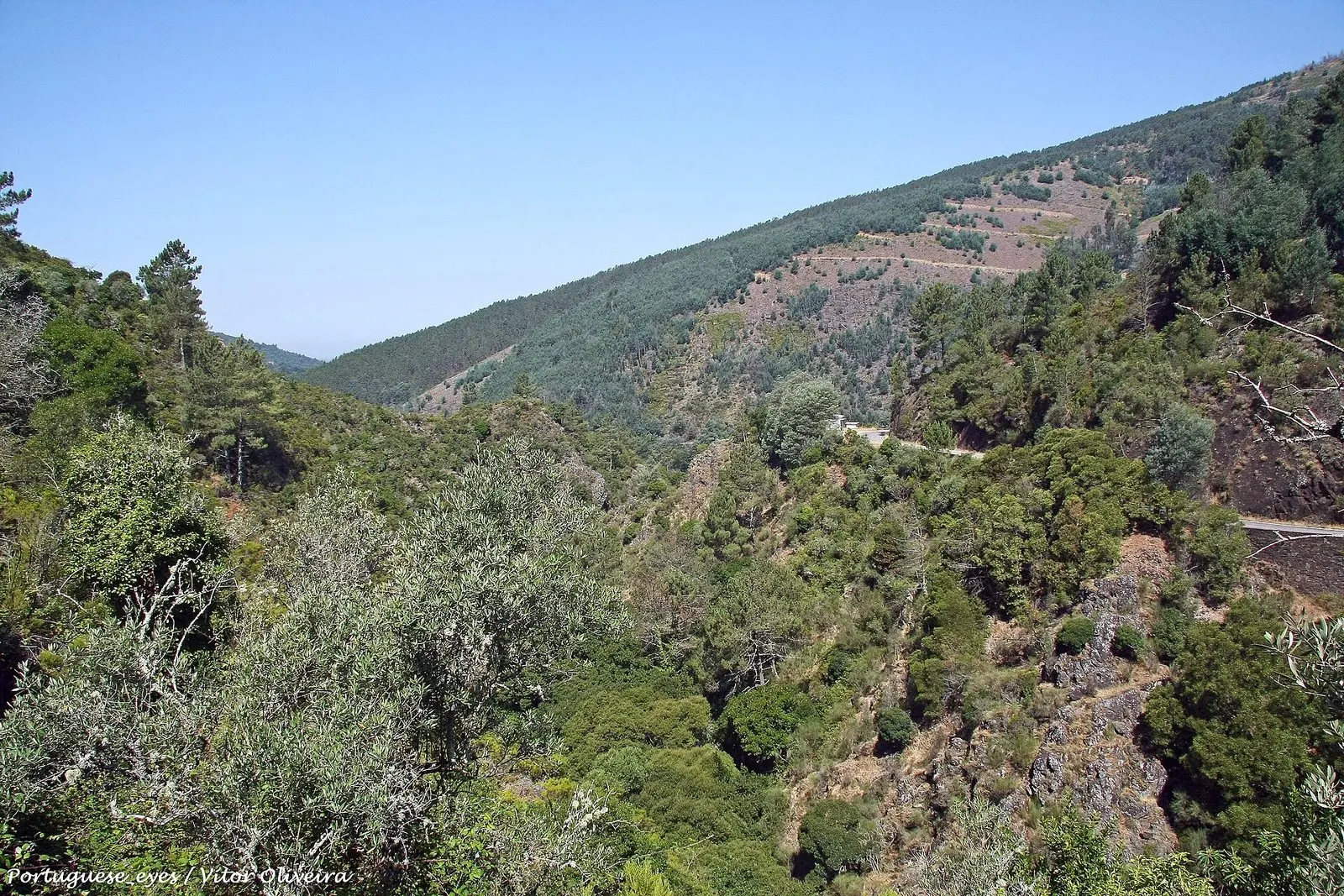 Paisaje forestal de la Serra da Lousã