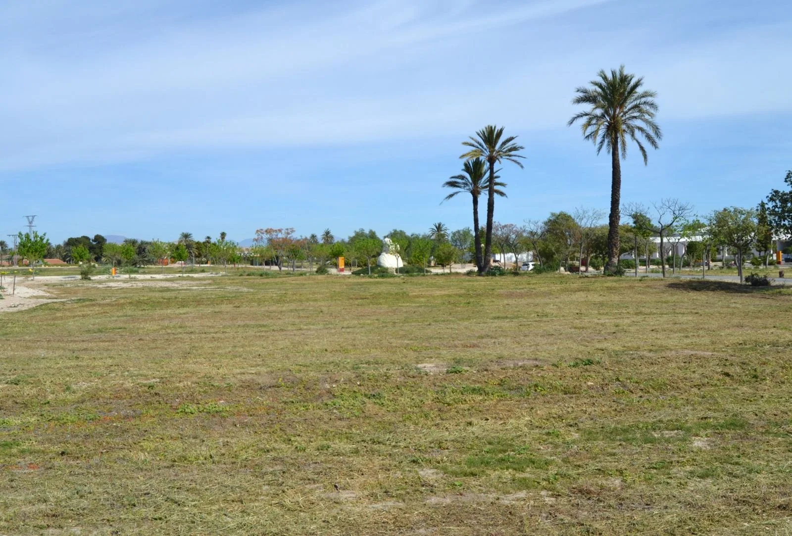 Vista del yacimiento arqueológico de La Alcudia en Elche