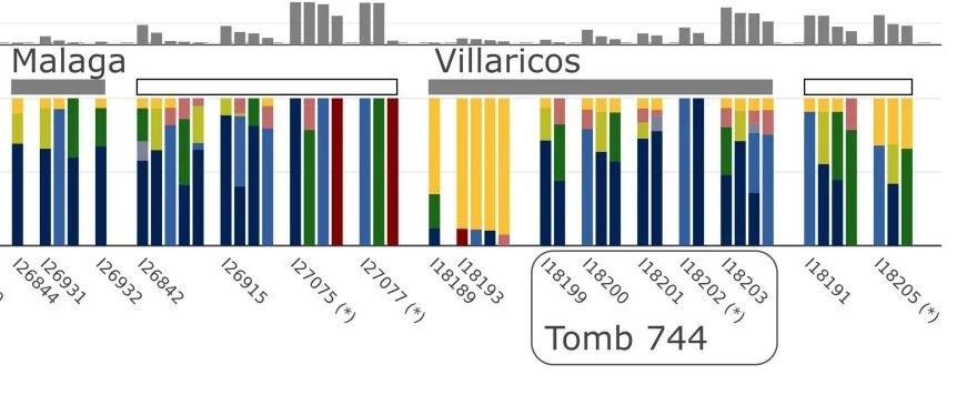 Estudio comparativo de ancestrías en varias colonias fenicias. La ancestría de North_Africa_IA, o sea, norteafricana de la Edad del Hierro I, sería la típica e los pueblos libios que habitaron la región desde los tiempos más remotos. - 'Punic people were genetically diverse with almost no Levantine ancestors', Nature - David Reich et al.