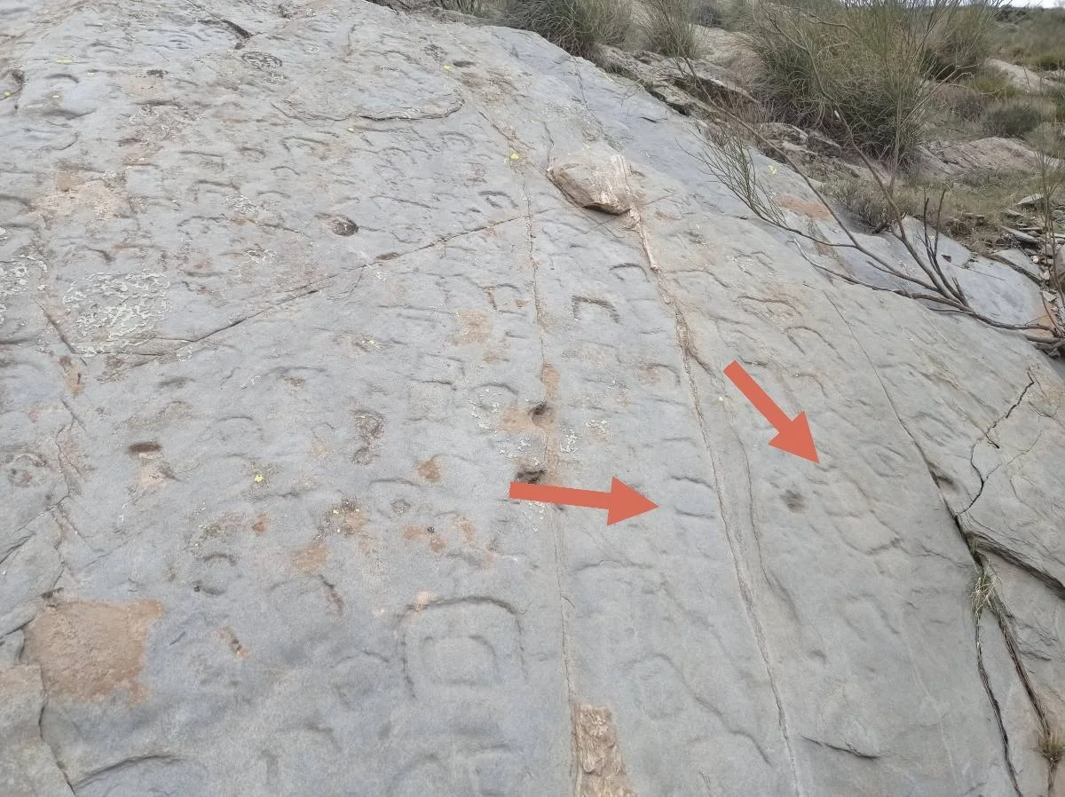 Piedra Escrita de Velefique con signos líbicos de tipo B marcados
