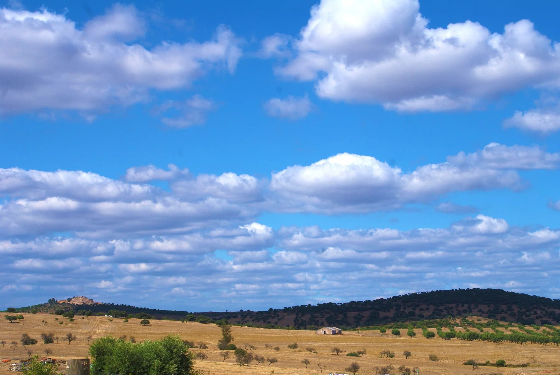 Paisaje agrícola del Alentejo en la región de Beja