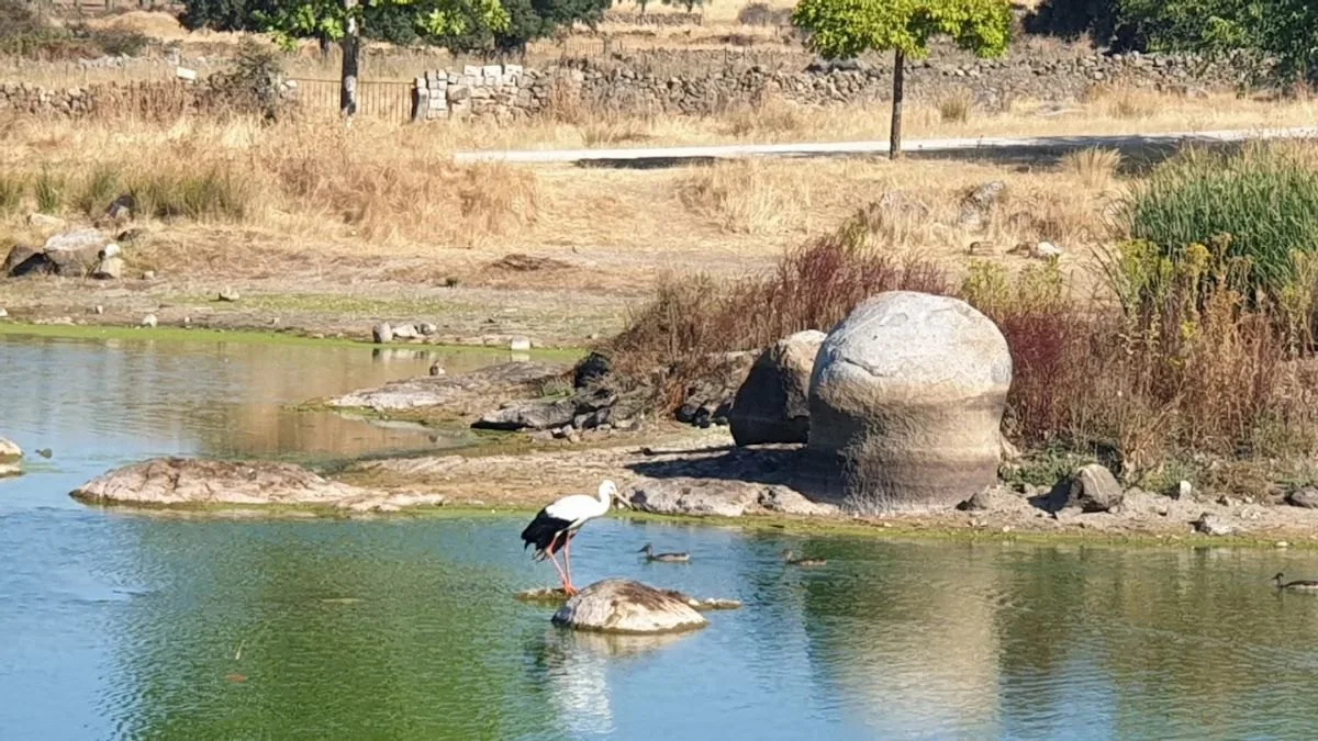 Charca de las Curanderas, con bolos de piedra emergidos. Imagen de Luis Jimenez - Google Maps