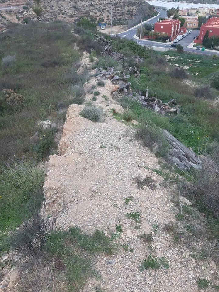 Posible tramo de muralla en el cerro del Paredón. Fotografía de Arturo Ortiz