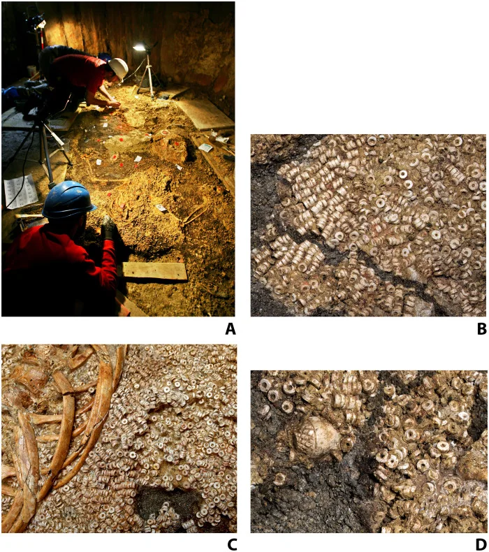 Cuentas de Montelirio en su contexto de excavación