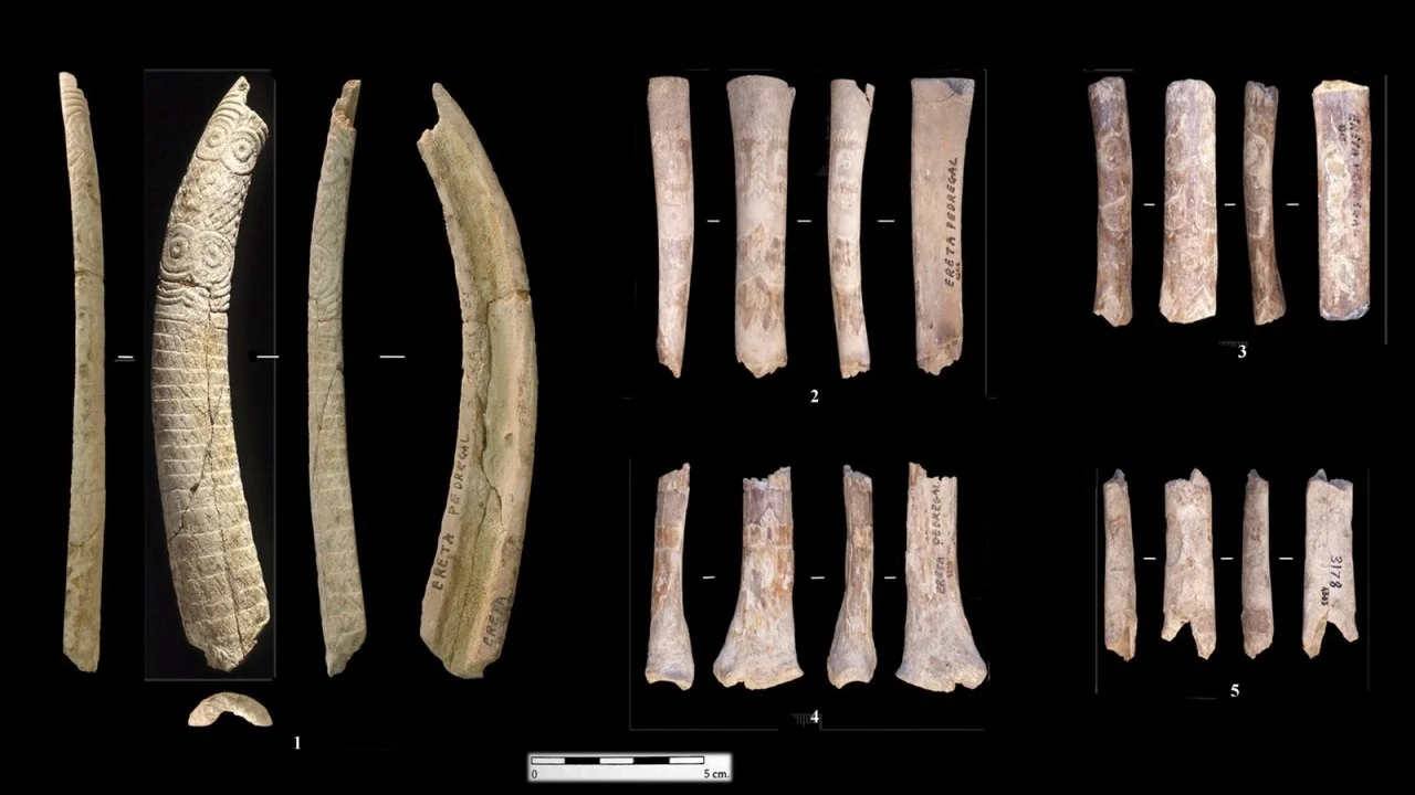 Ídolos oculados tallados en hueso de Ereta del  Pedregal (Navarrés, Valencia)